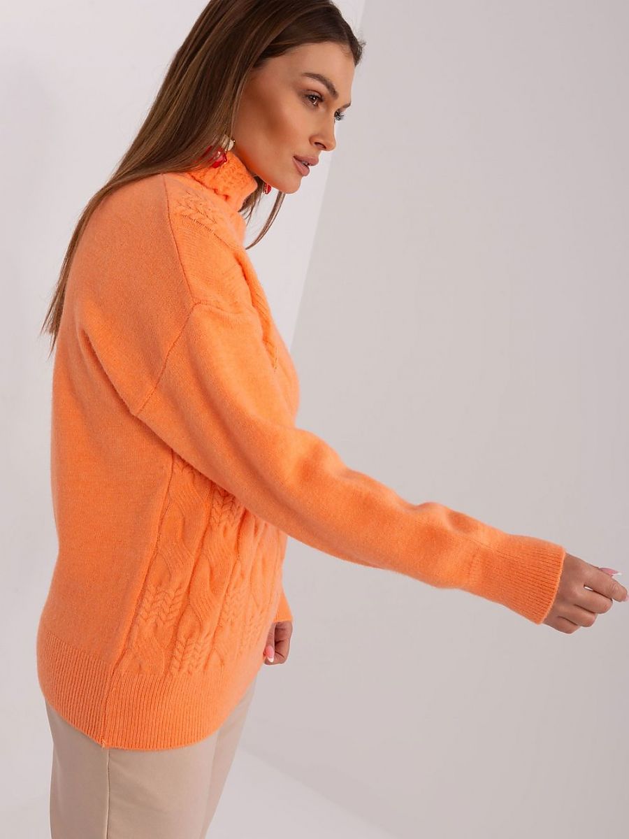  Turtleneck model 189887 AT 