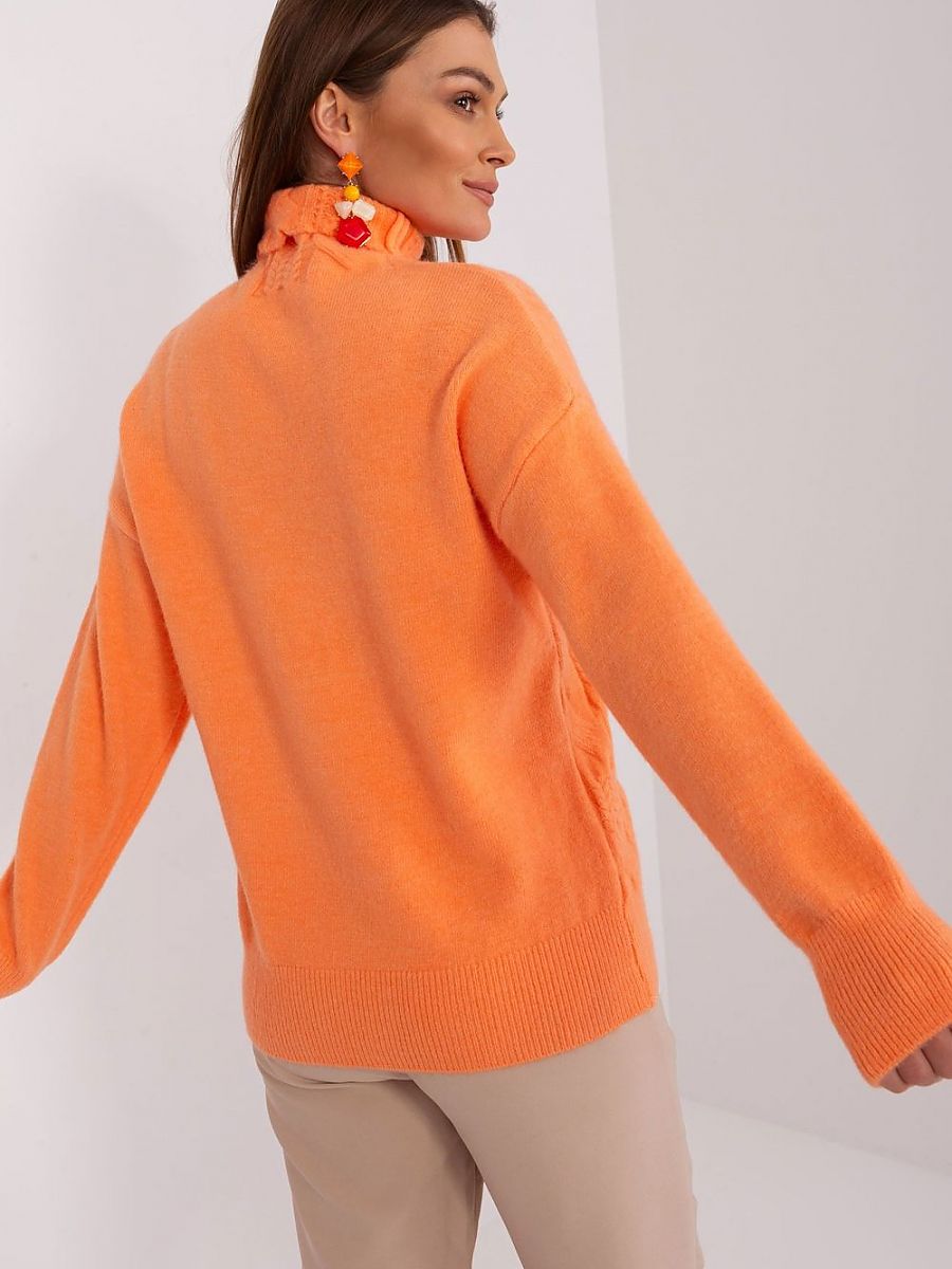  Turtleneck model 189887 AT 