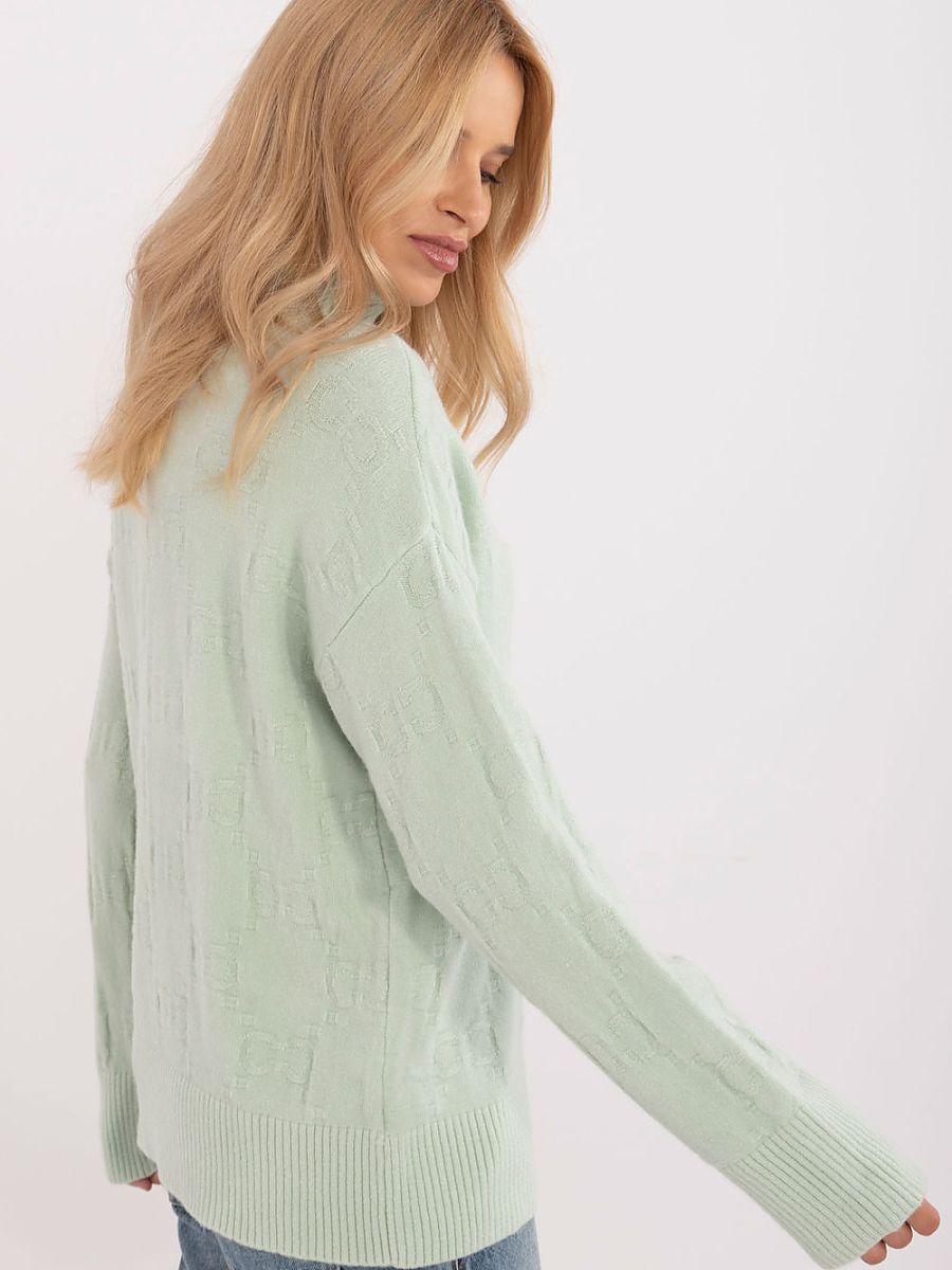  Turtleneck model 199637 AT 