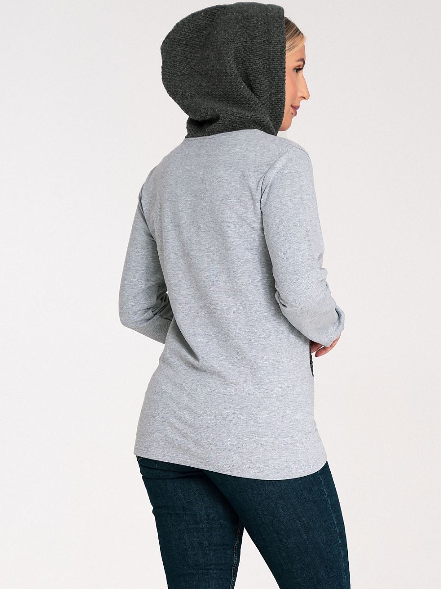  Sweatshirt model 201458 Figl 