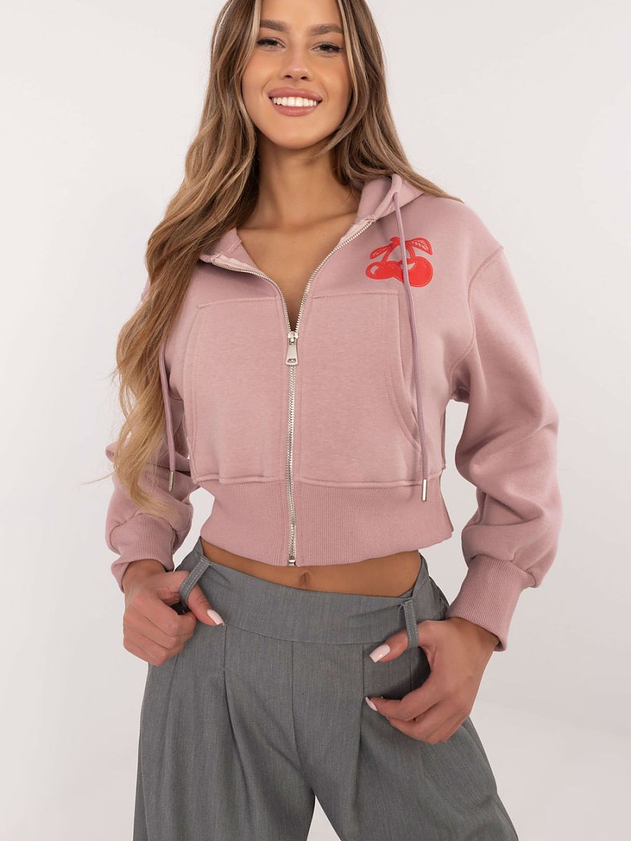  Sweatshirt model 204418 Factory Price 