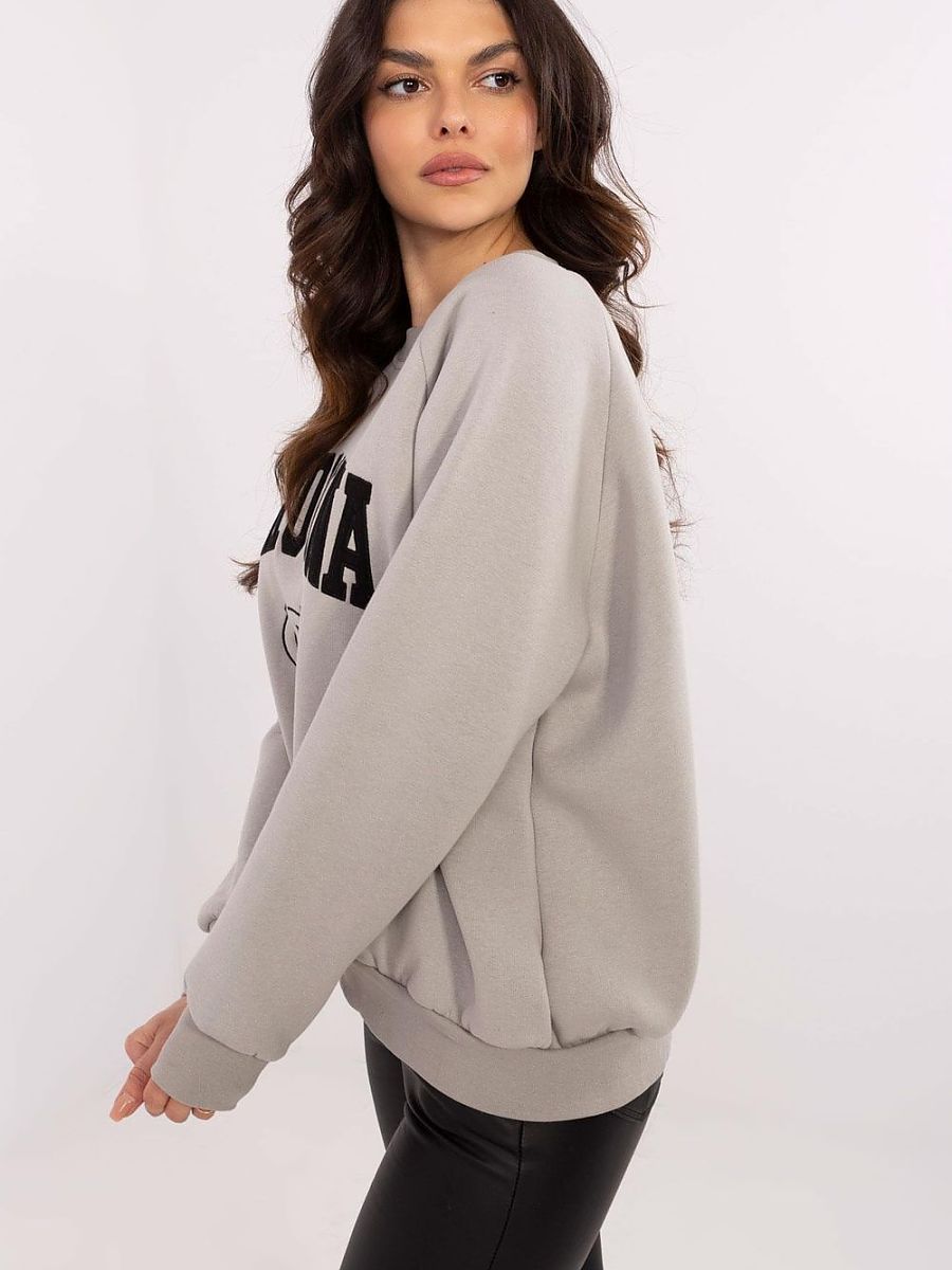  Sweatshirt model 206353 Factory Price 