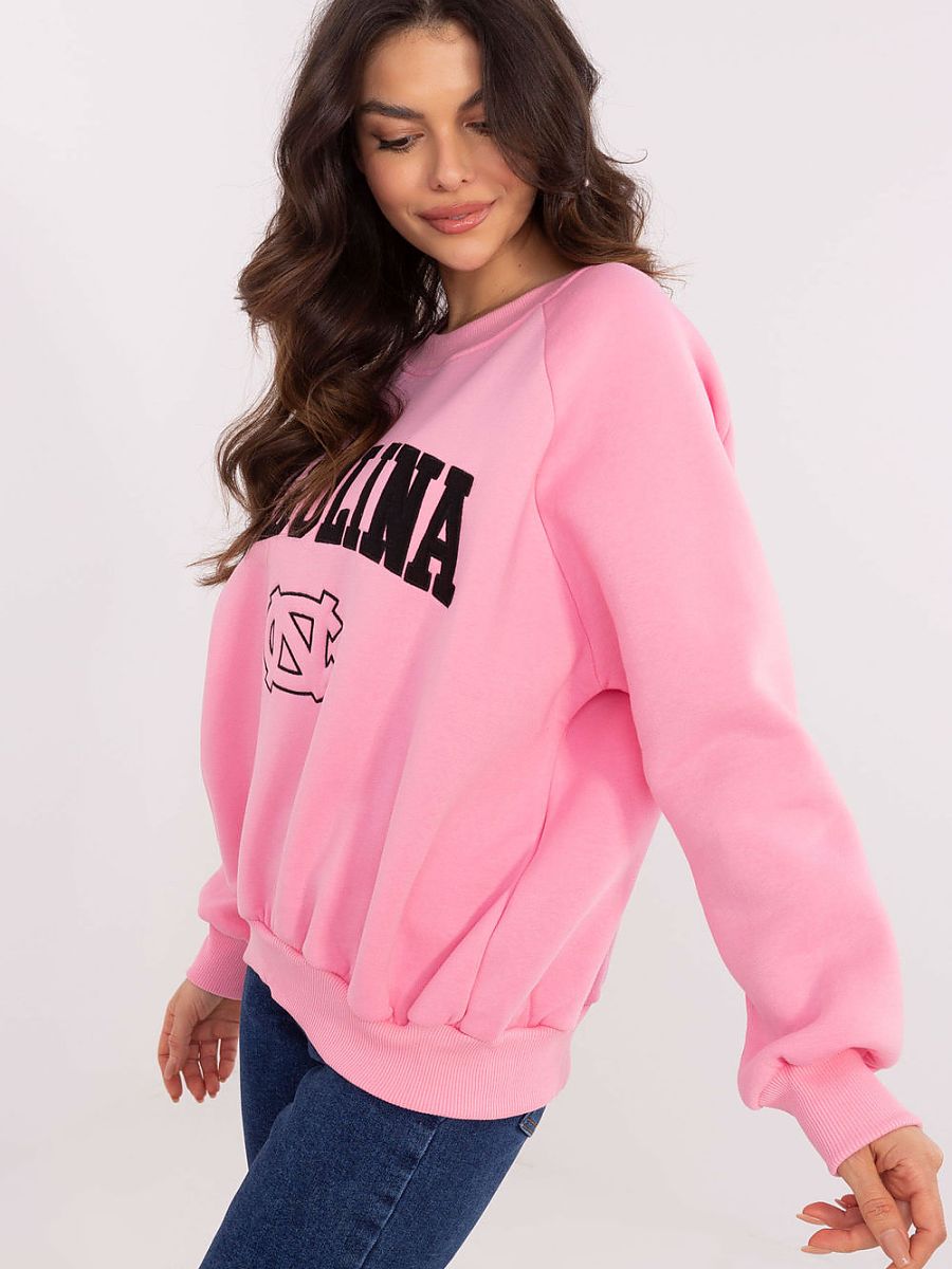  Sweatshirt model 206357 Factory Price 