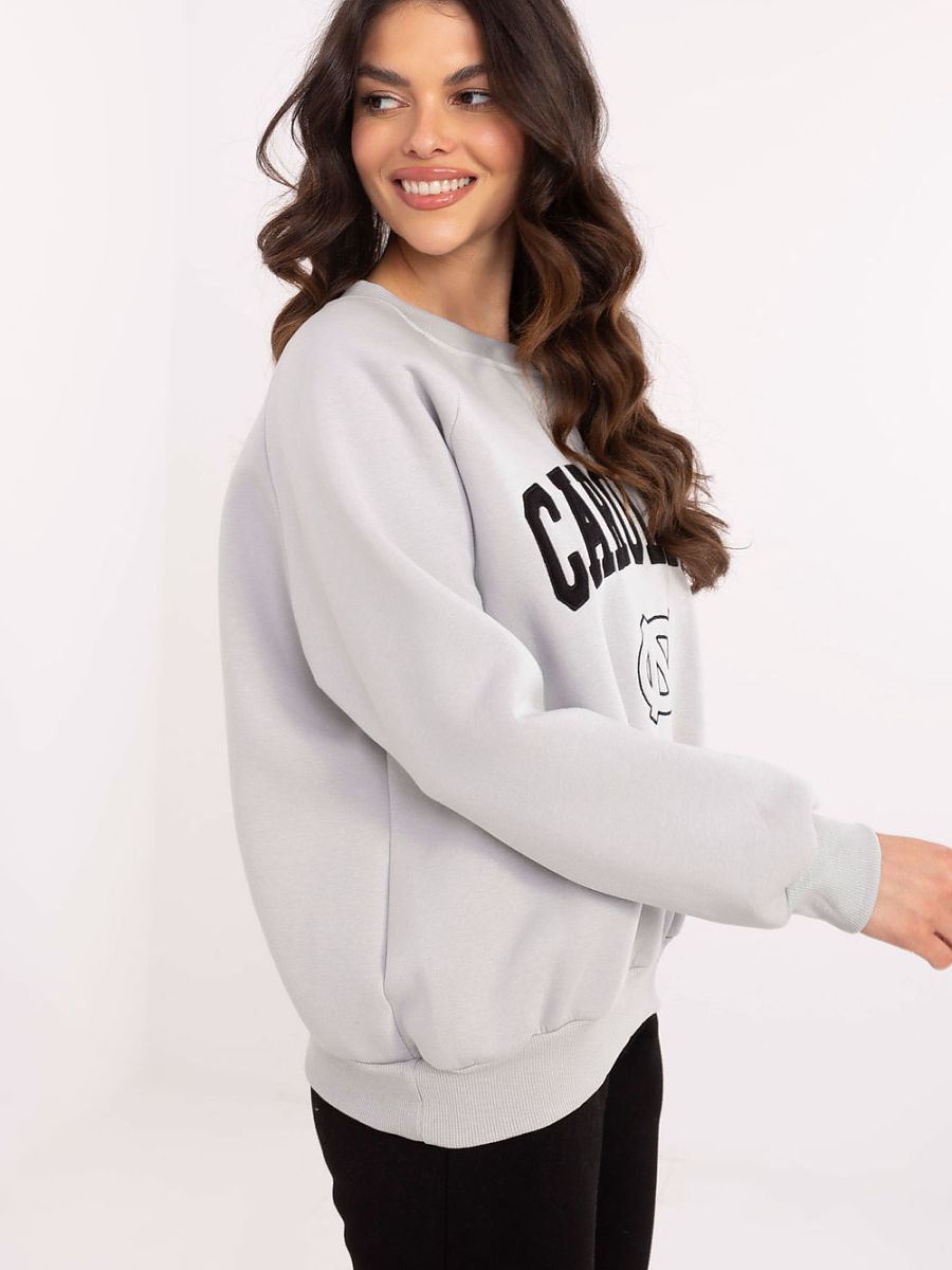  Sweatshirt model 206358 Factory Price 