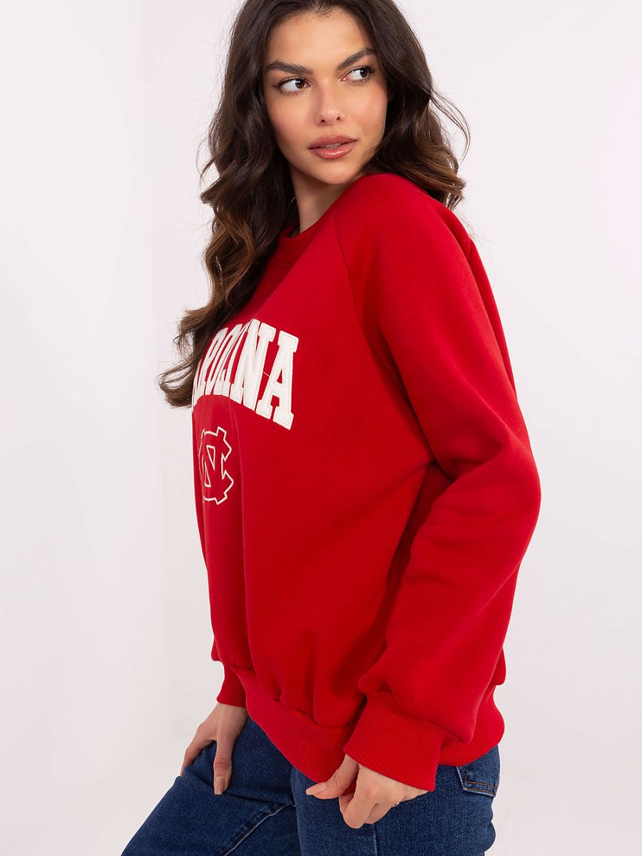  Sweatshirt model 206360 Factory Price 