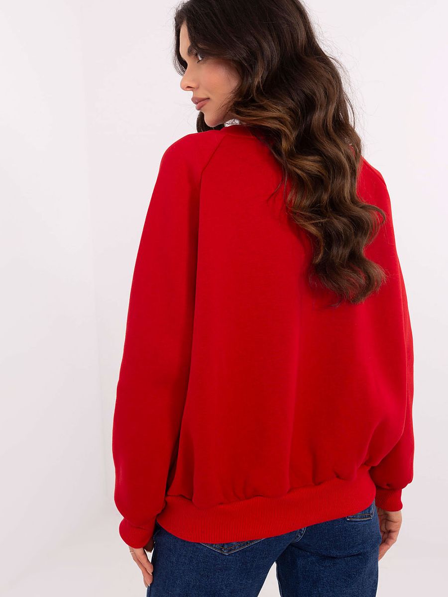  Sweatshirt model 206360 Factory Price 
