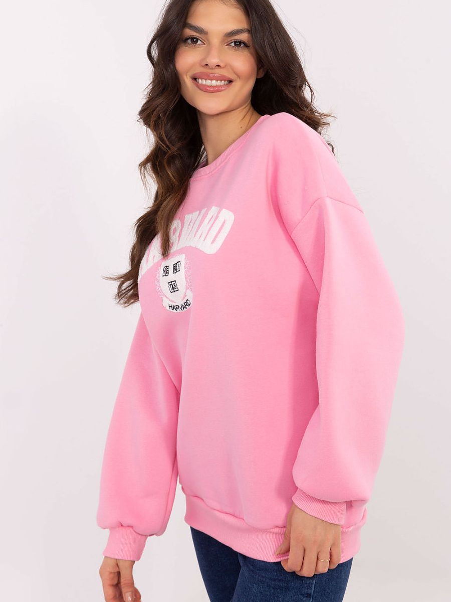  Sweatshirt model 206377 Factory Price 