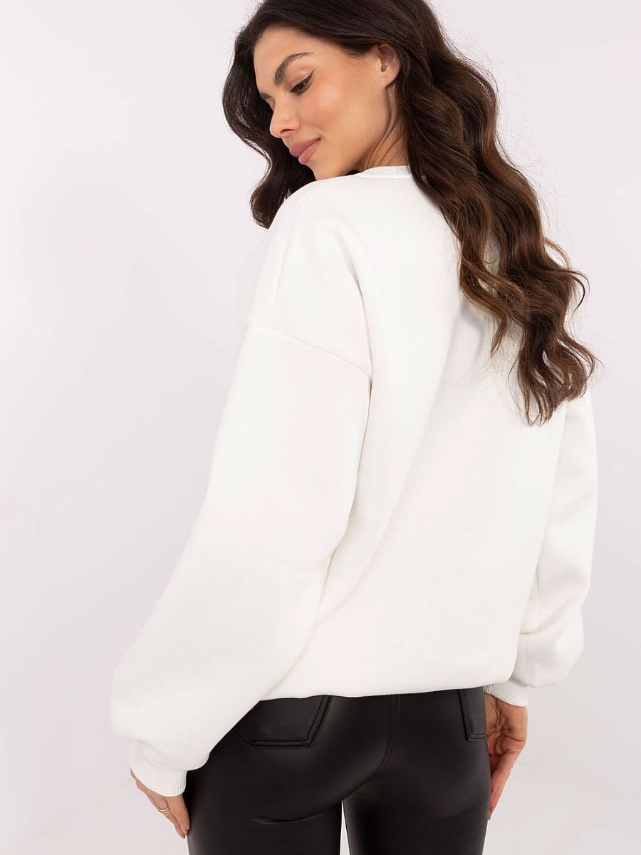  Sweatshirt model 206379 Factory Price 