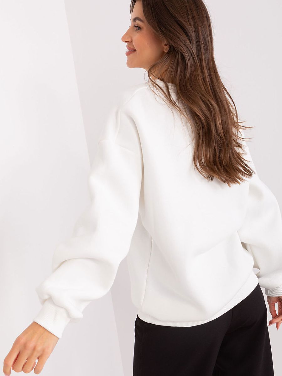  Sweatshirt model 206649 Factory Price 