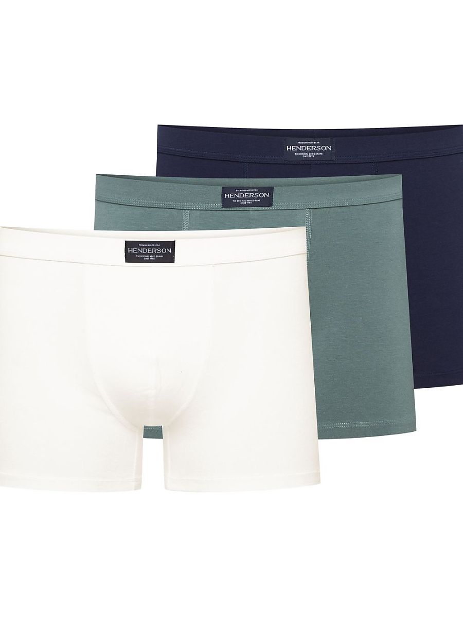  Set model 209613 Henderson 