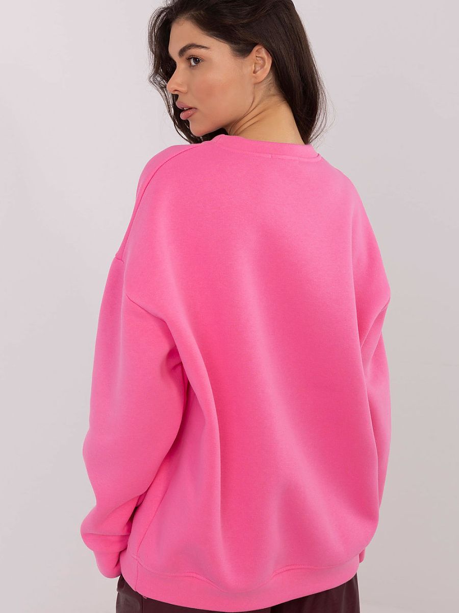  Sweatshirt model 220956 Factory Price 