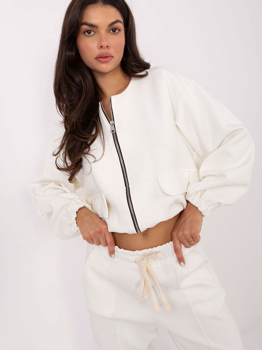  Sweatshirt model 220960 Factory Price 