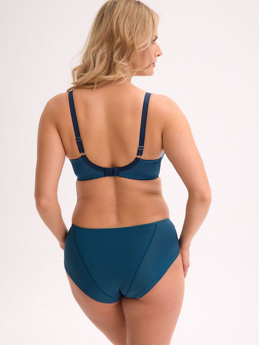  Semi-soft model 221772 Gaia 