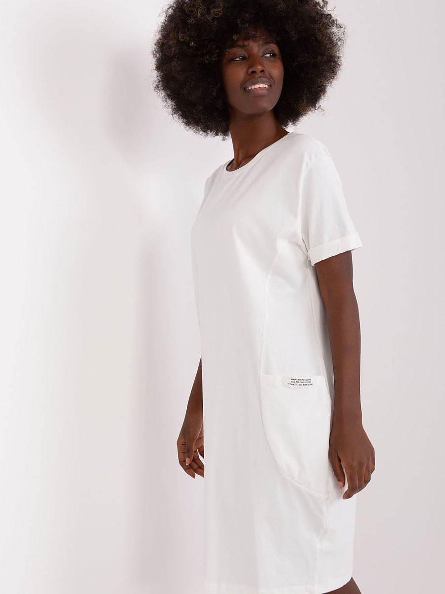  Daydress model 227382 Rue Paris 