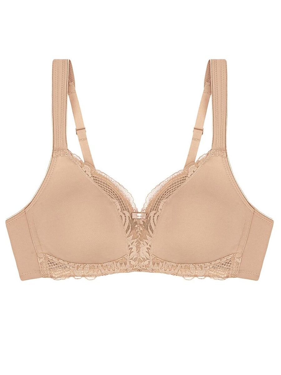  Soft model 229508 Triumph 