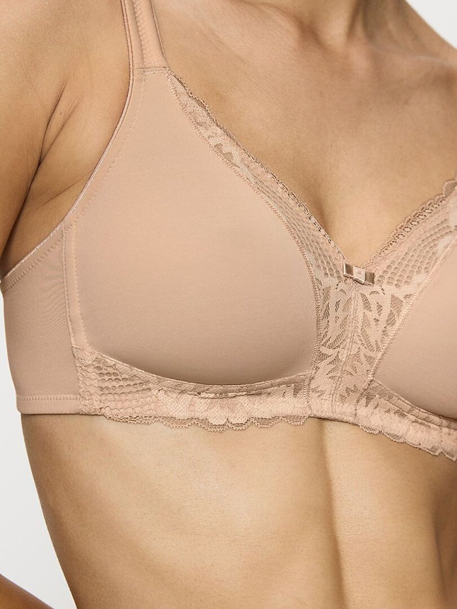  Soft model 229508 Triumph 