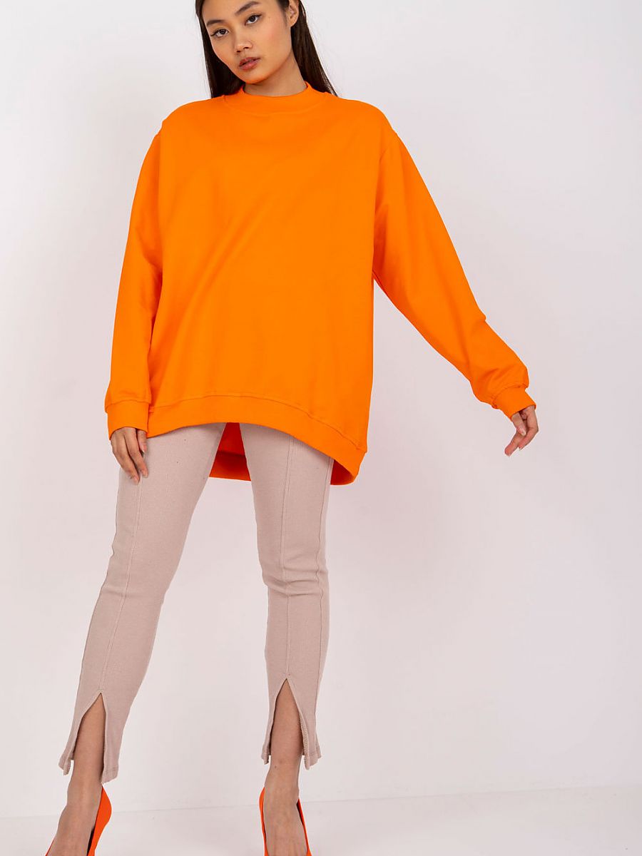  Sweatshirt model 169764 BFG 
