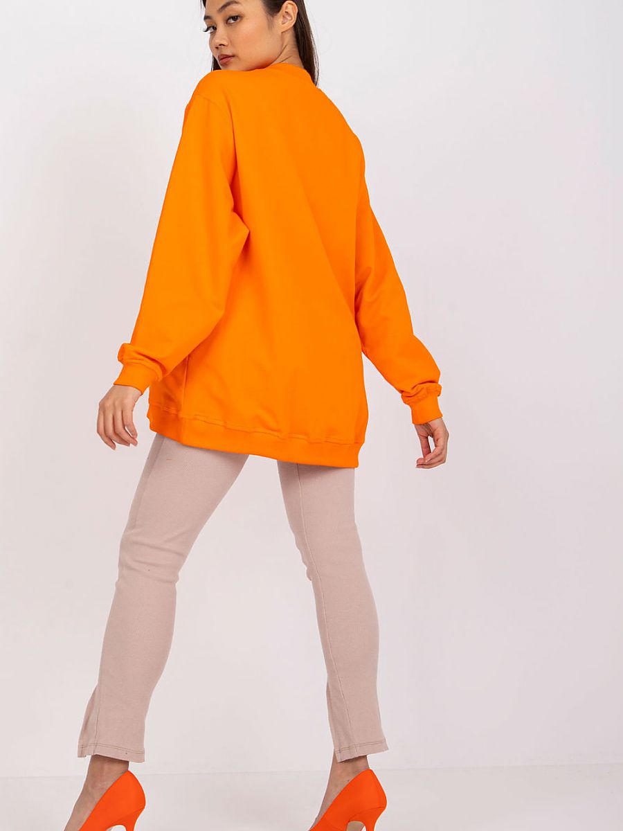  Sweatshirt model 169764 BFG 