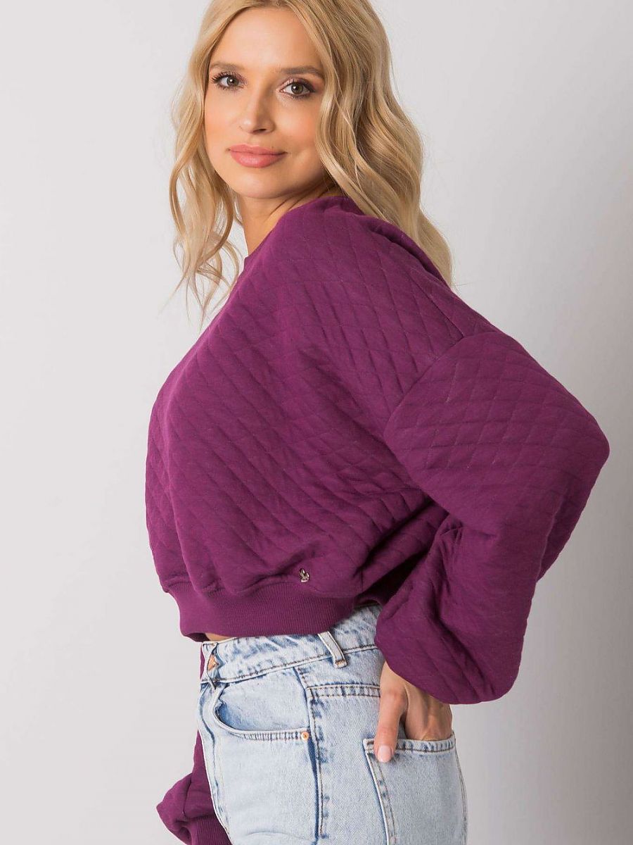  Sweatshirt model 169773 BFG 