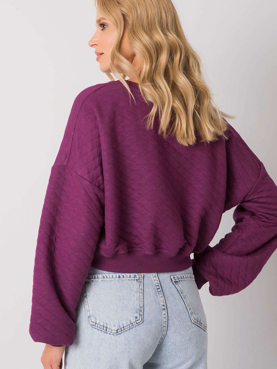  Sweatshirt model 169773 BFG 