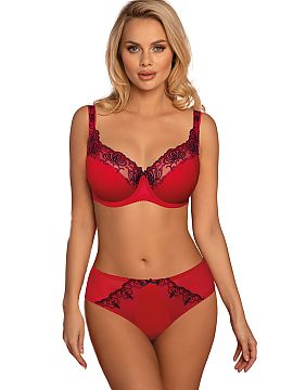 Panties Vena  Elegant panties in a combination of navy blue and red. Lace on the front.