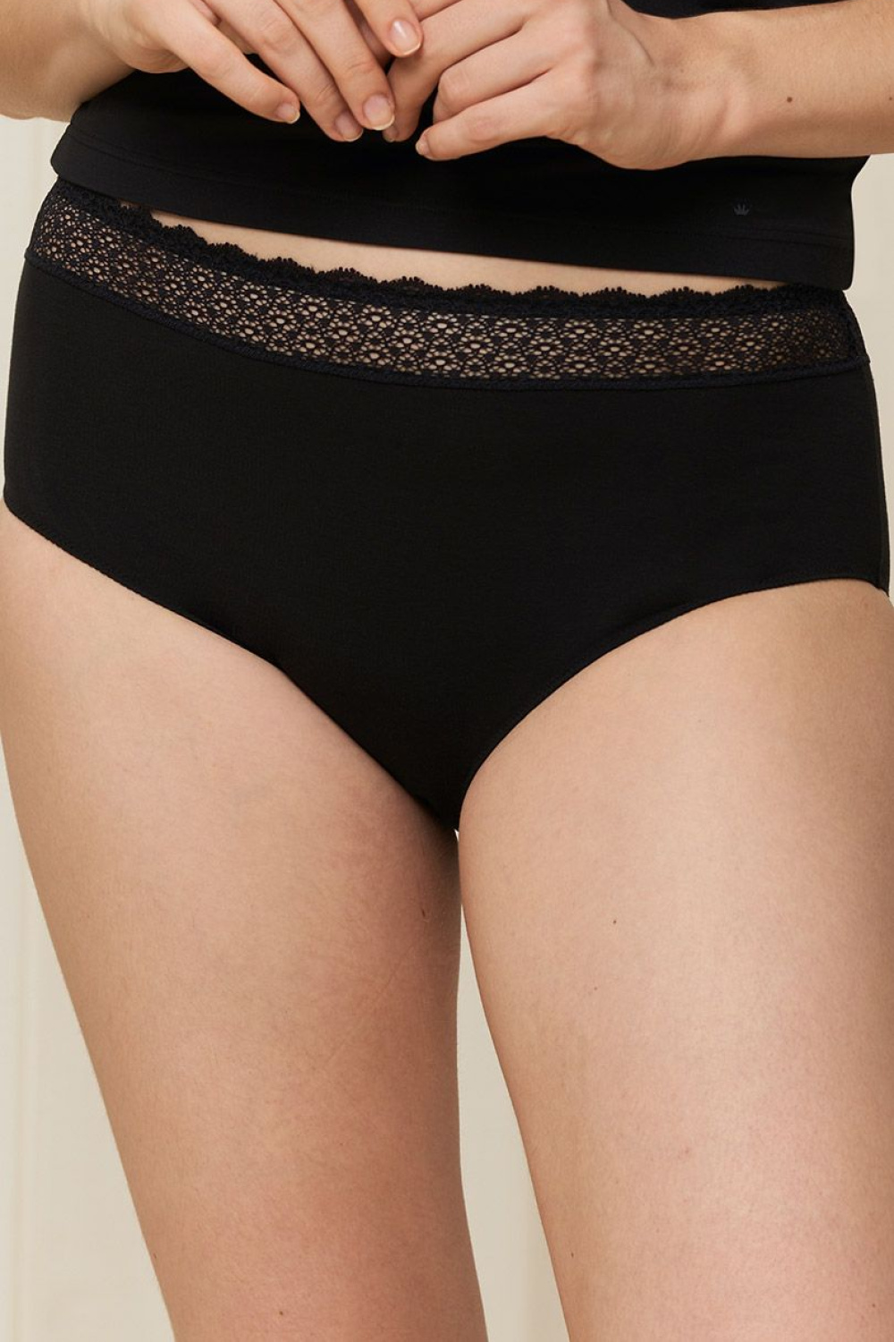 Adult Product 18+ - Panties model 229404 Triumph - Triumph - Briefs - KS Store