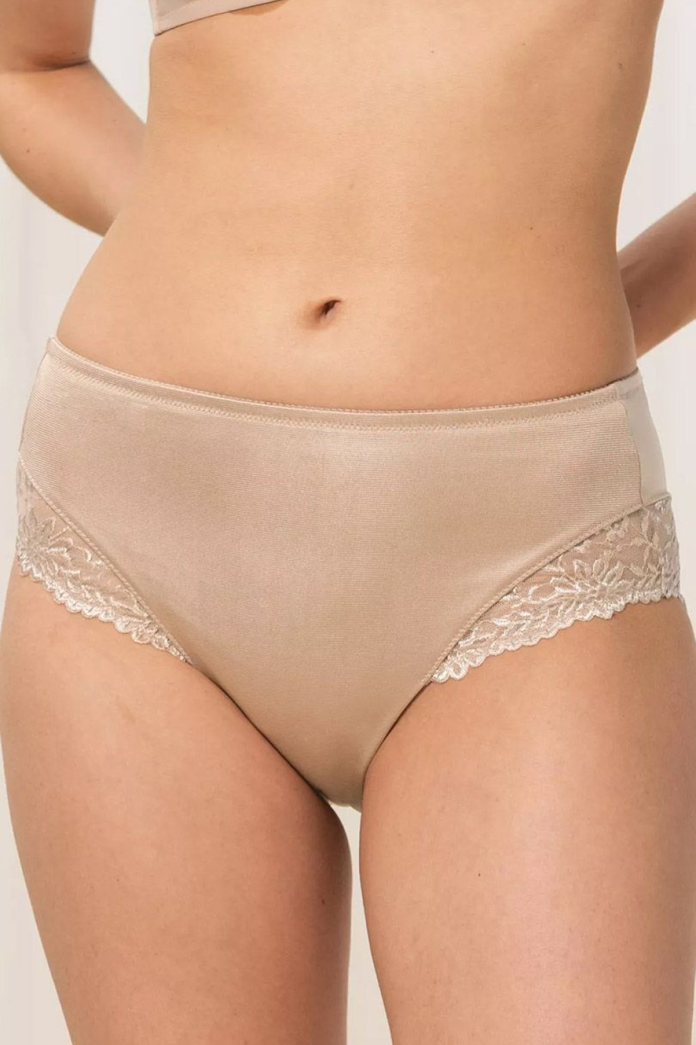 Adult Product 18+ - Panties model 229421 Triumph - Triumph - Briefs - KS Store